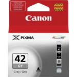 Canon Ink 42 Gray